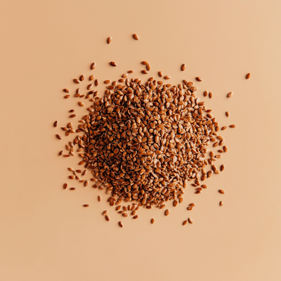 Flax Seed Oil Powder