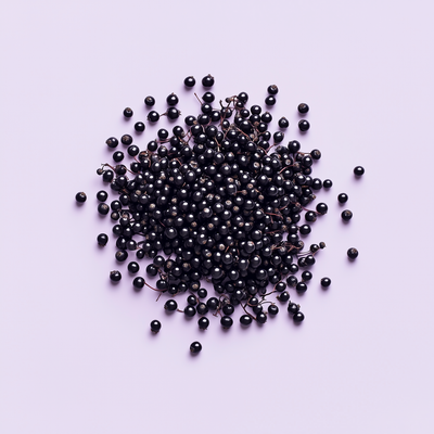 Elderberry Fruit